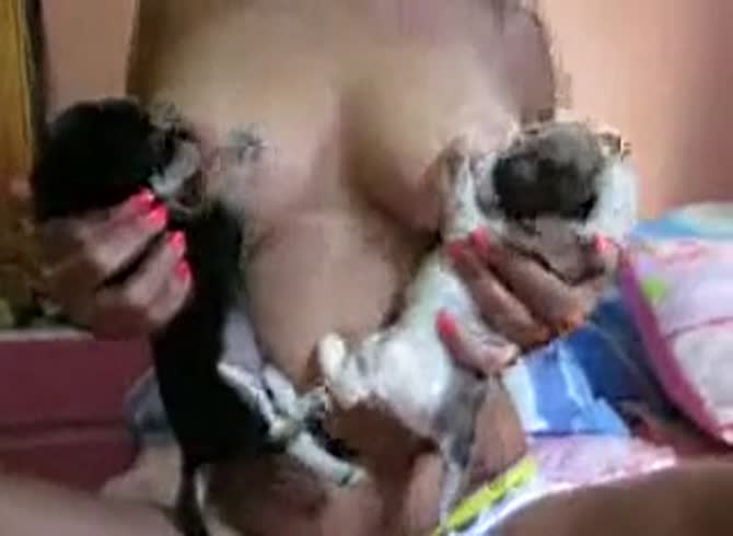 Video :Two puppies milking on the tits of a busty beastiality lover
